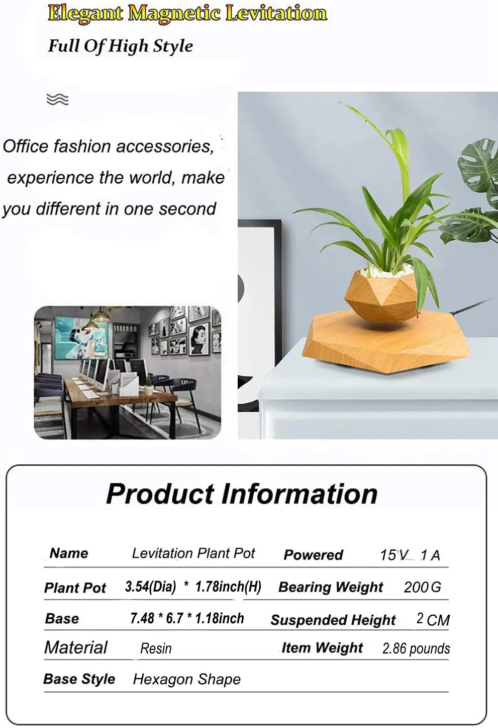 Home Décor and Essentials