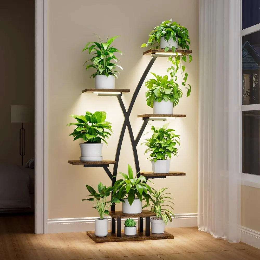 Home Décor and Essentials