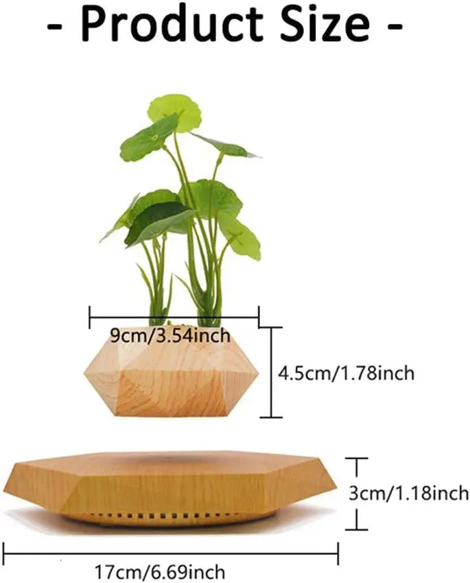 Home Décor and Essentials