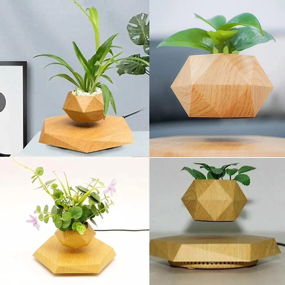 Home Décor and Essentials