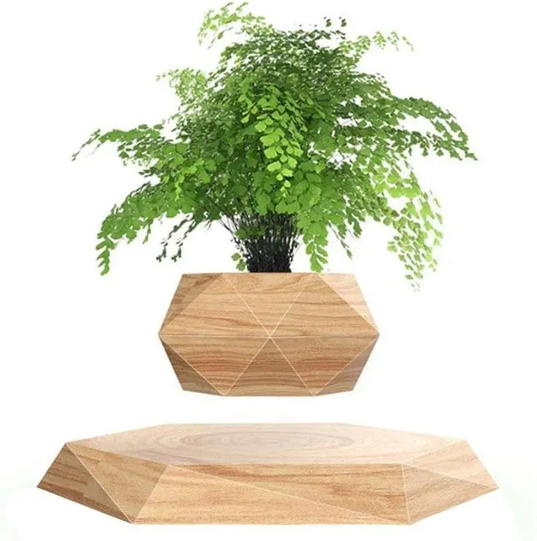 Home Décor and Essentials
