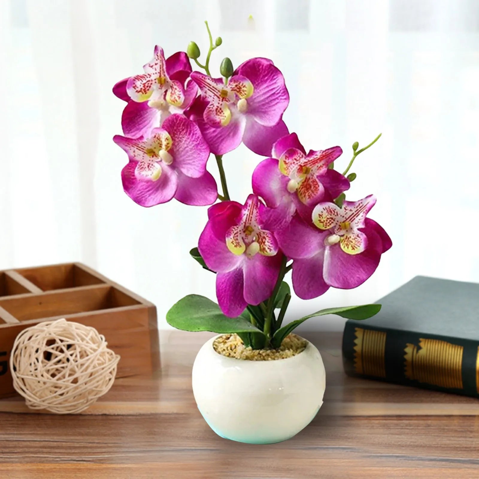 Home Décor and Essentials