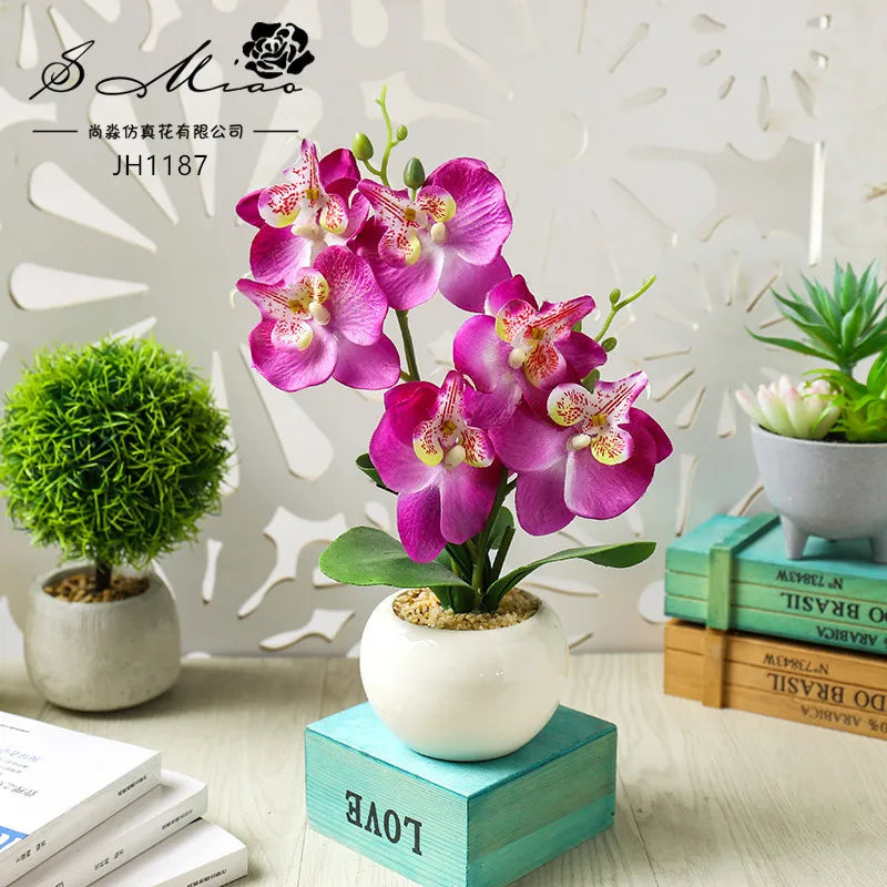 Home Décor and Essentials