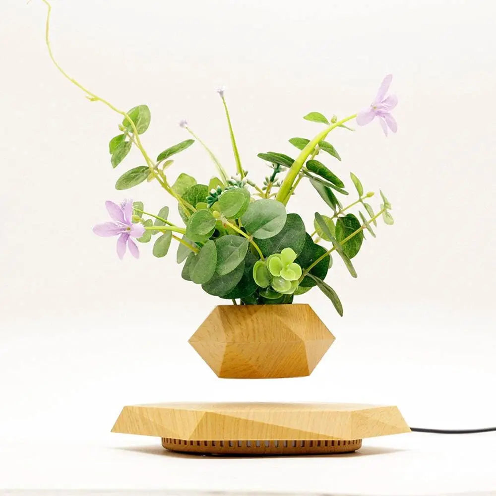 Home Décor and Essentials