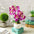 Butterfly Orchid Potted Bonsai Bedroom Living Room Decoration Fall Bouquet Flowers