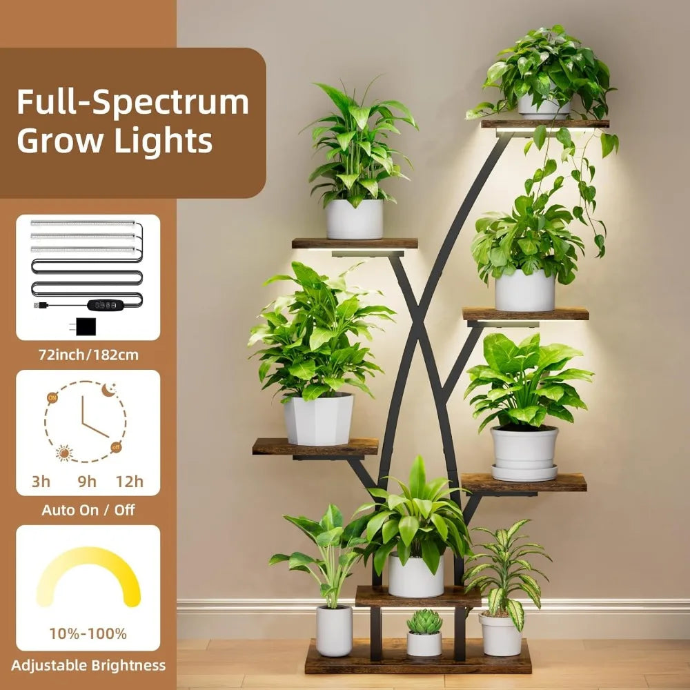 Home Décor and Essentials
